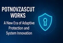Potnovzascut Works
